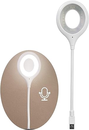 Smart Voice Control USB Talking Light